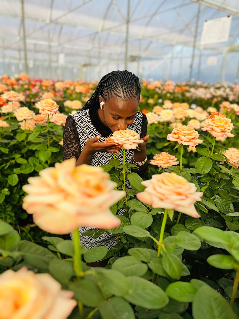 Shabangu Flowers Premium Floral Artistry